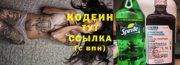 прущие грибы Покров