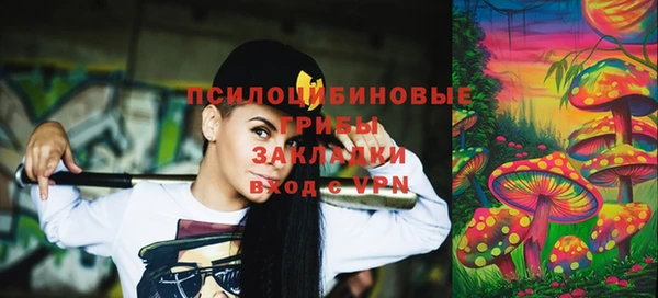 дживик Абаза